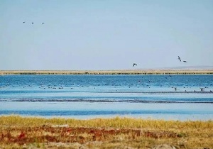 阿巴嘎其查干淖尔湿地保护监测